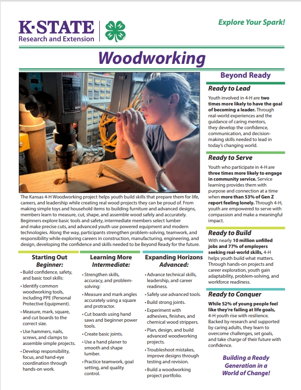 Woodworking Spark Page Thumbnail 